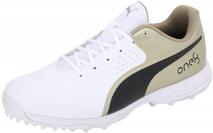 puma shoes for men cricket