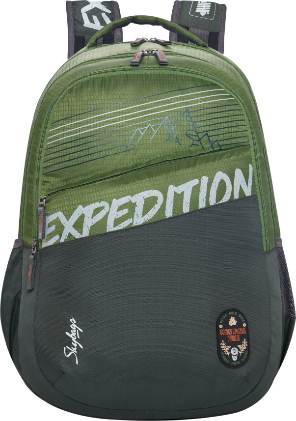 skybags backpack flipkart