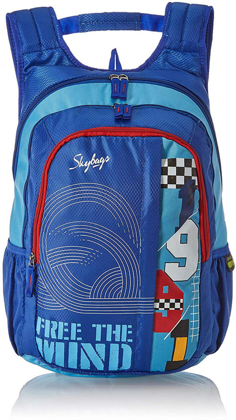 skybags blue backpack