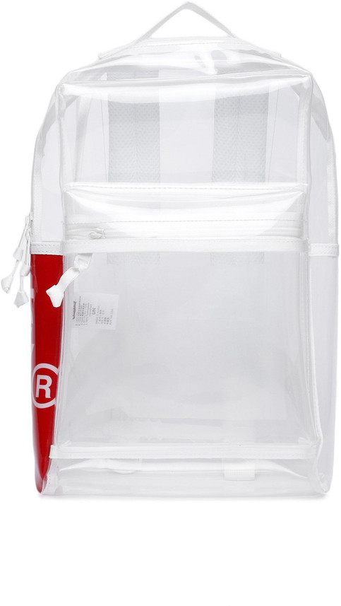 levis transparent backpack