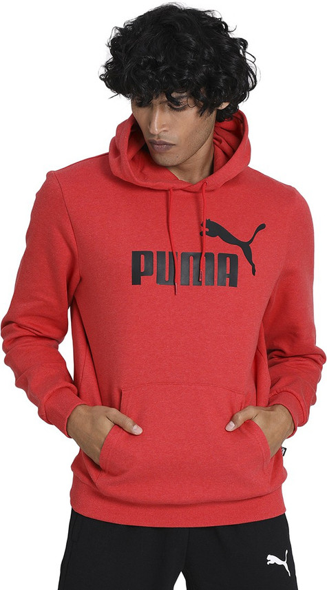 puma hooded sweatshirt flipkart