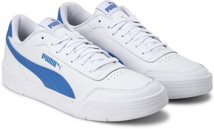 puma caracal blue
