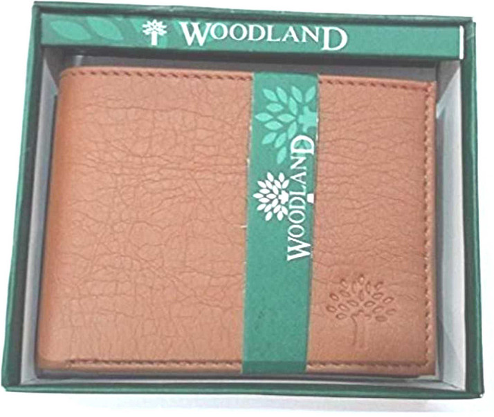 flipkart mens wallet woodland
