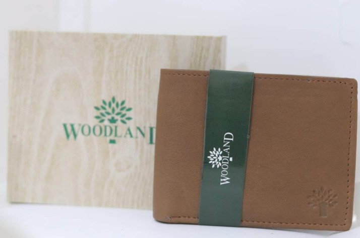 flipkart mens wallet woodland