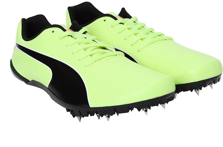 puma evospeed price