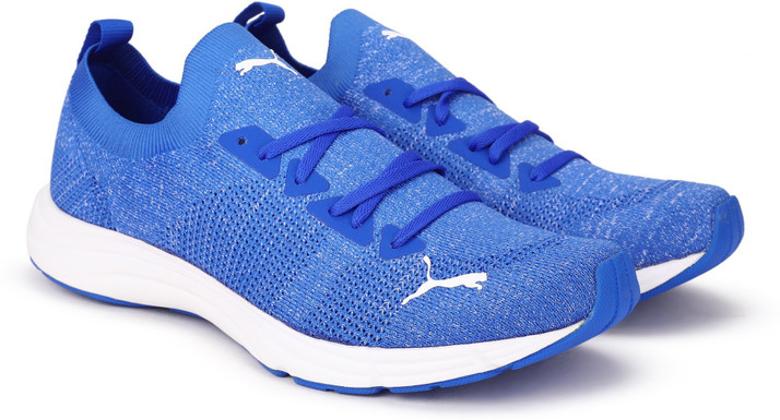 orange and blue dunks