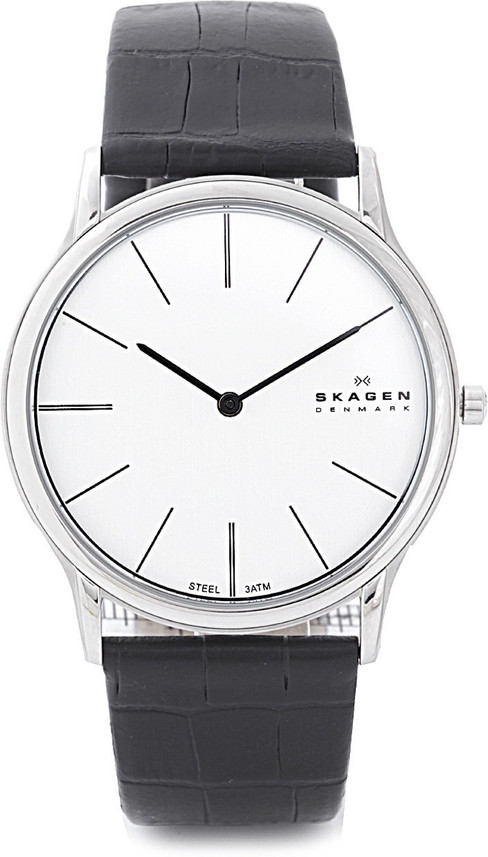 skagen klassik ladies watch