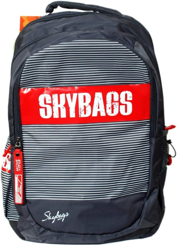 skybag figo plus