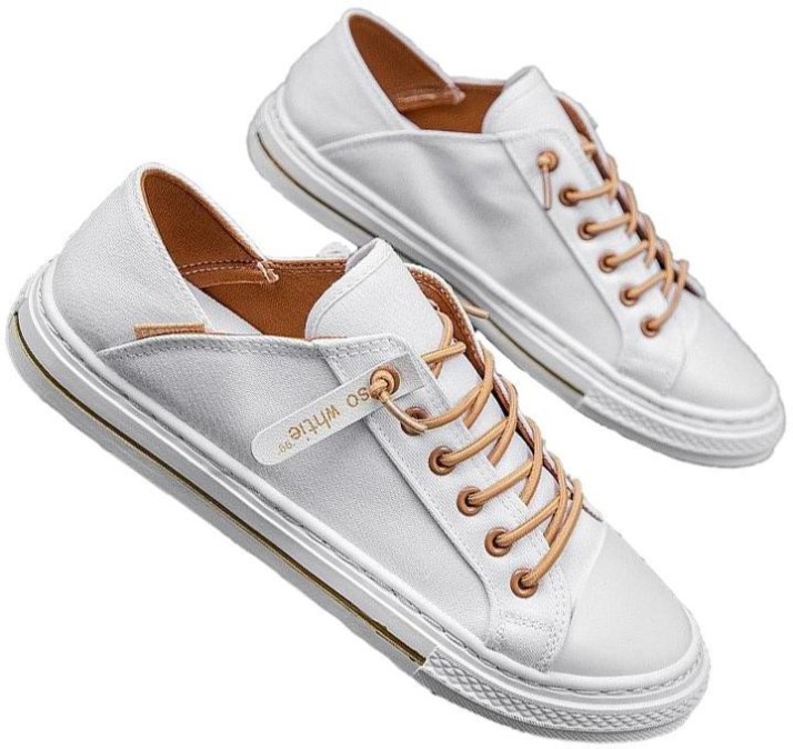 mens canvas shoes flipkart