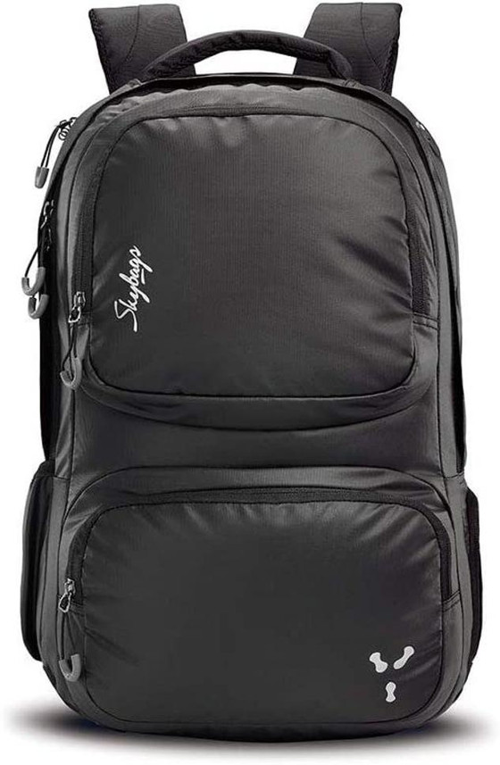 flipkart skybags backpacks