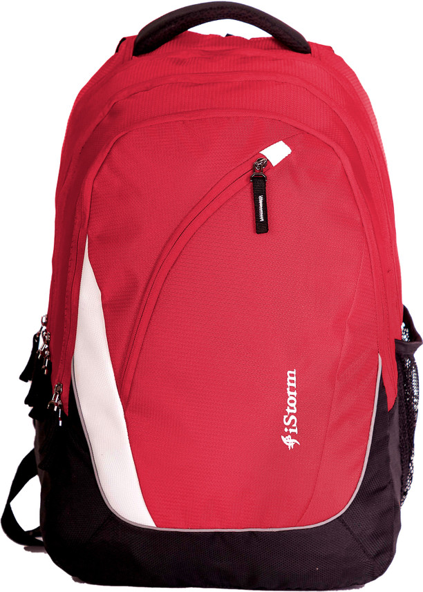 everest laptop backpack