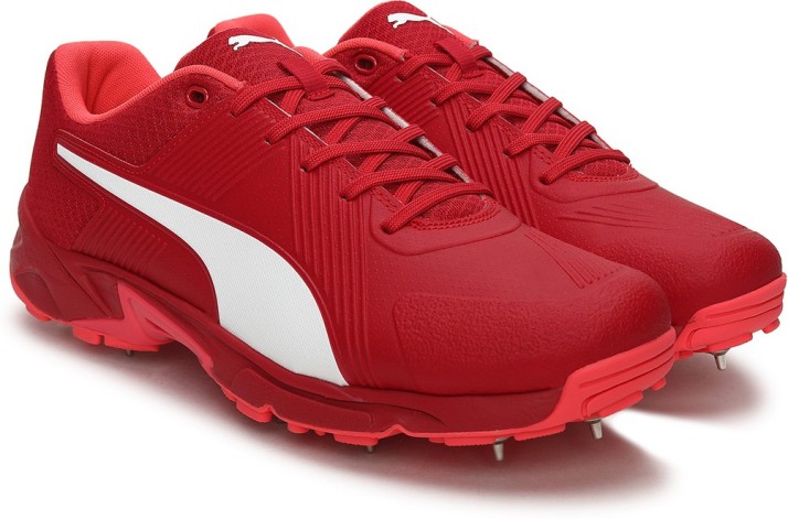 puma dual colour cricket shoes