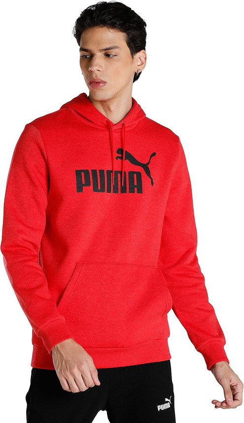 puma hooded sweatshirt flipkart
