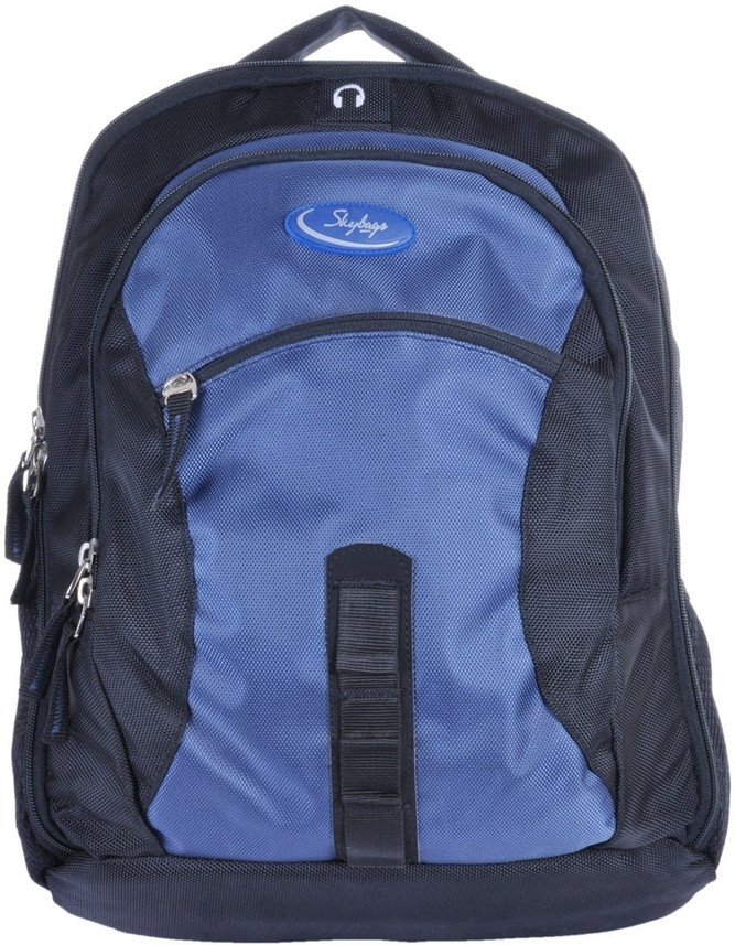 skybags laptop bags flipkart