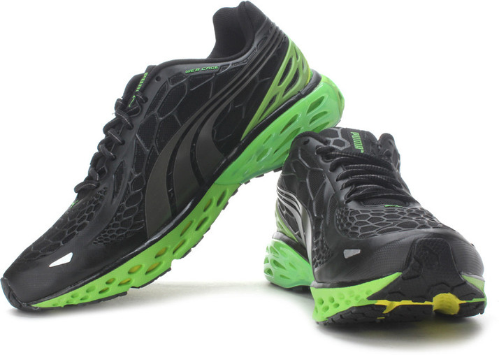 puma webtech