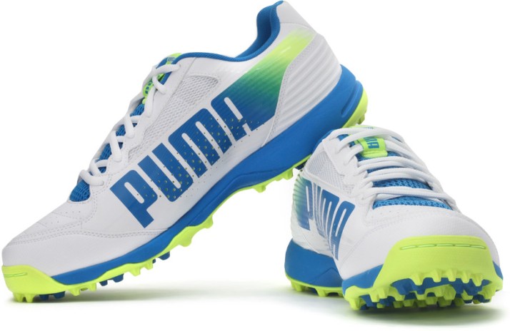 puma evospeed rubber cricket shoes