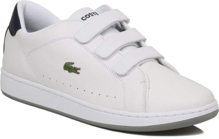 lacoste camden