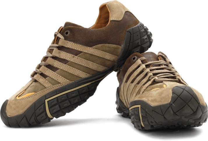 woodland shoes on flipkart