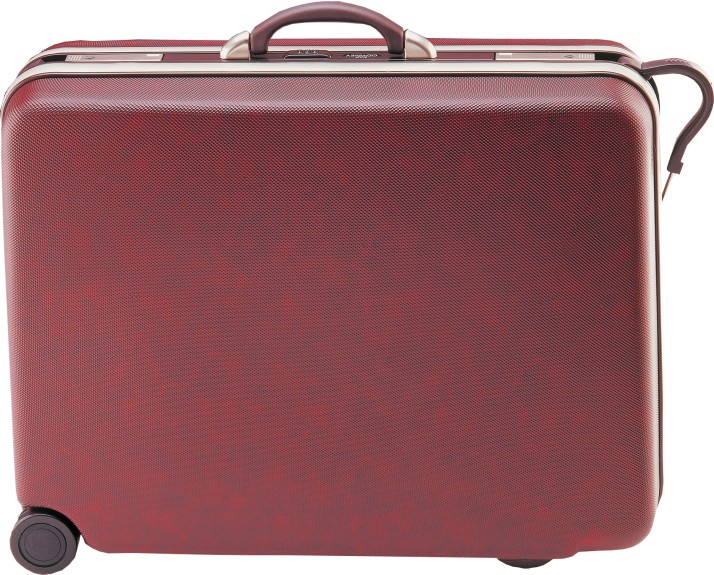 24 inch vip suitcase