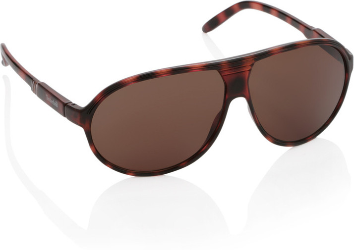 timberland aviator sunglasses