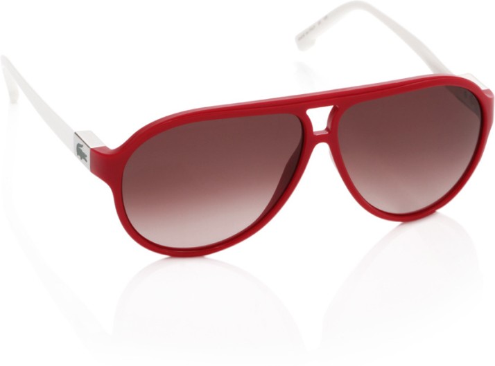 Buy Lacoste Aviator Sunglasses Brown 