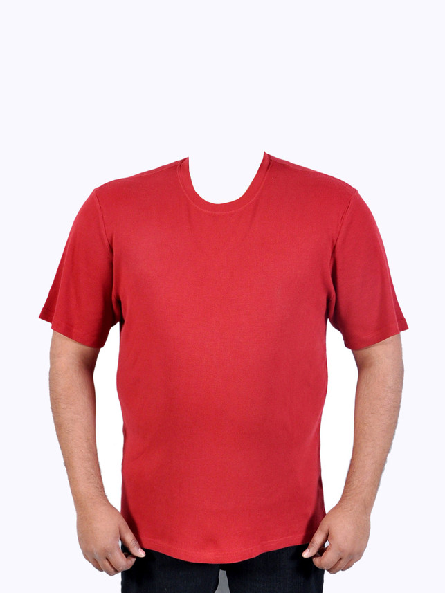 Denver Hayes Self Design Men Round Neck 
