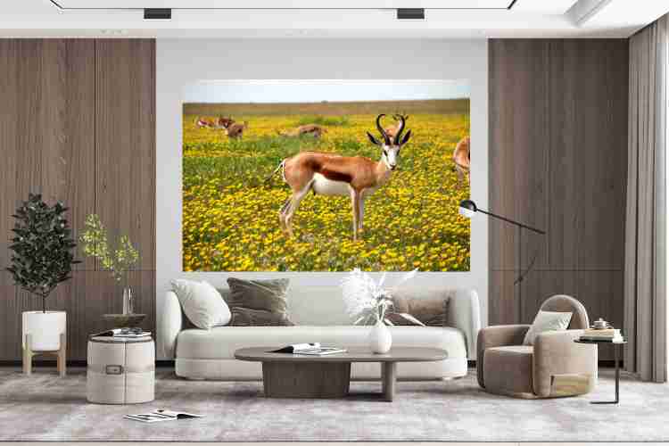 decorative-poster-for-bed-room-drawing-room-kids-room-4ft-x-3ft