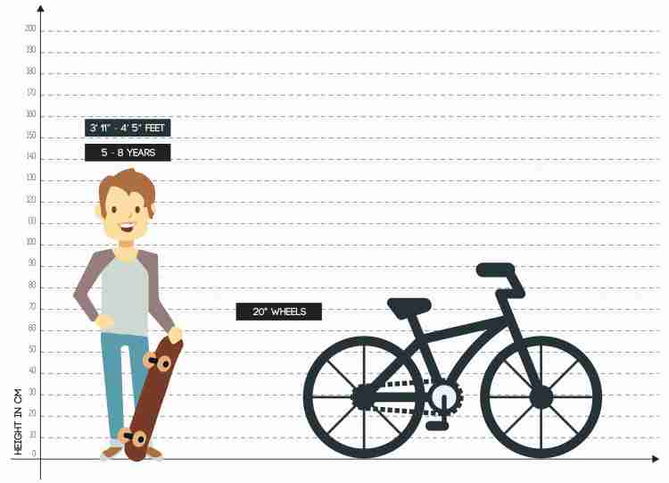 hercules cycle 20t