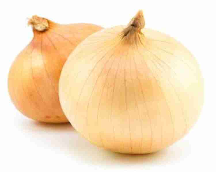 Sjeme Spanish onion sweet onion seeds Seed Price in India Buy Sjeme