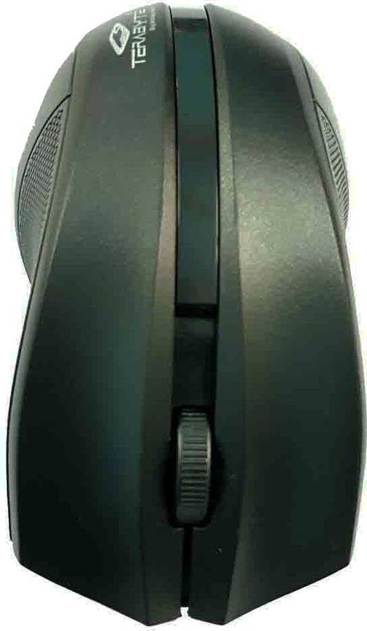 Terabyte TB-WM-067 Wireless Optical Mouse with Bluetooth