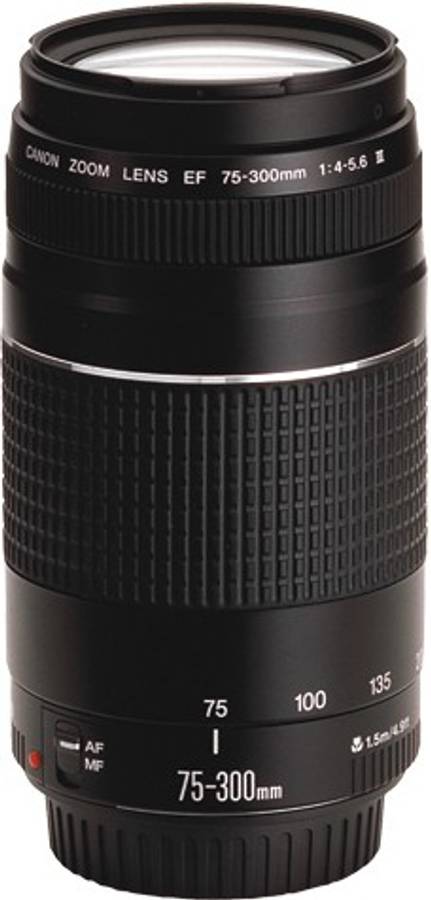 Canon EF 75-300mm f/4-5.6 iii Lens