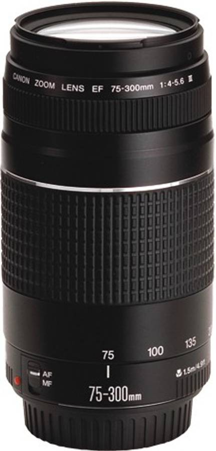 Canon EF 75-300mm f/4-5.6 iii  Lens