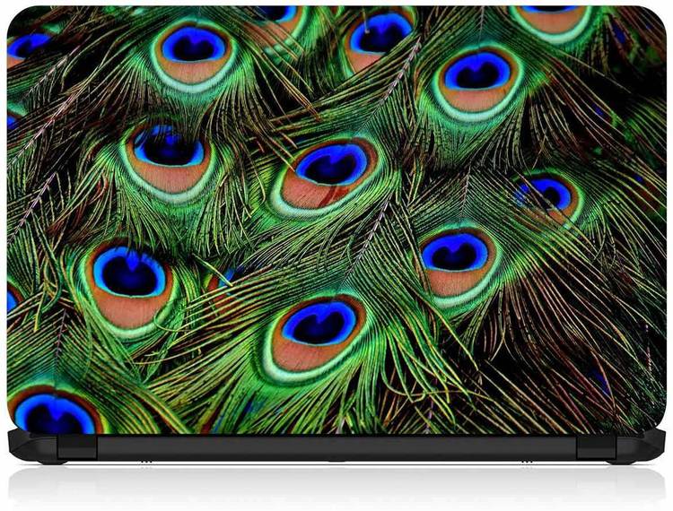 Flipkart SmartBuy Peacock Feather FSBSP082 Vinyl Laptop Decal 15.6