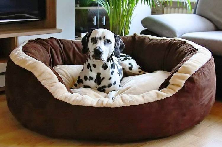 Hiputee Soft Velvet Reversible Round Brown Dog/Cat/Pet Bed Small S Pet Bed