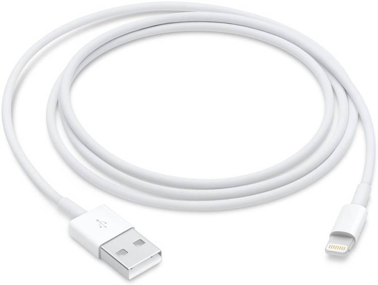 RH Sales Fast lightning USB Data Charging Cable for 5,5s,6,6s,7,7+,8,8+, 1 m Lightning Cable