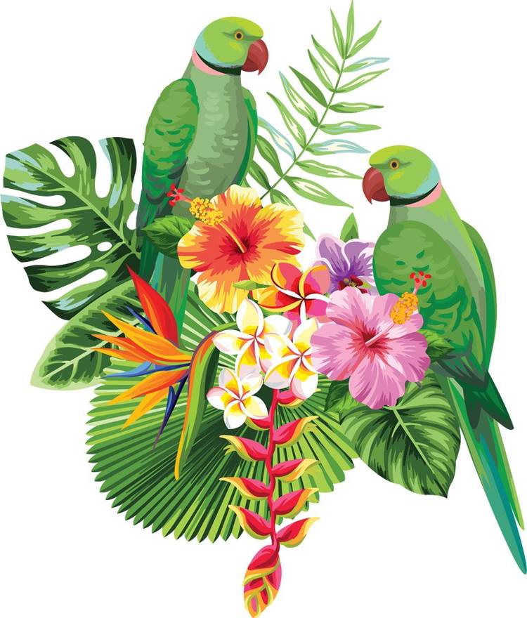 god & god's Medium Beautiful Flower And Love Couple Parrot Wall Sticker