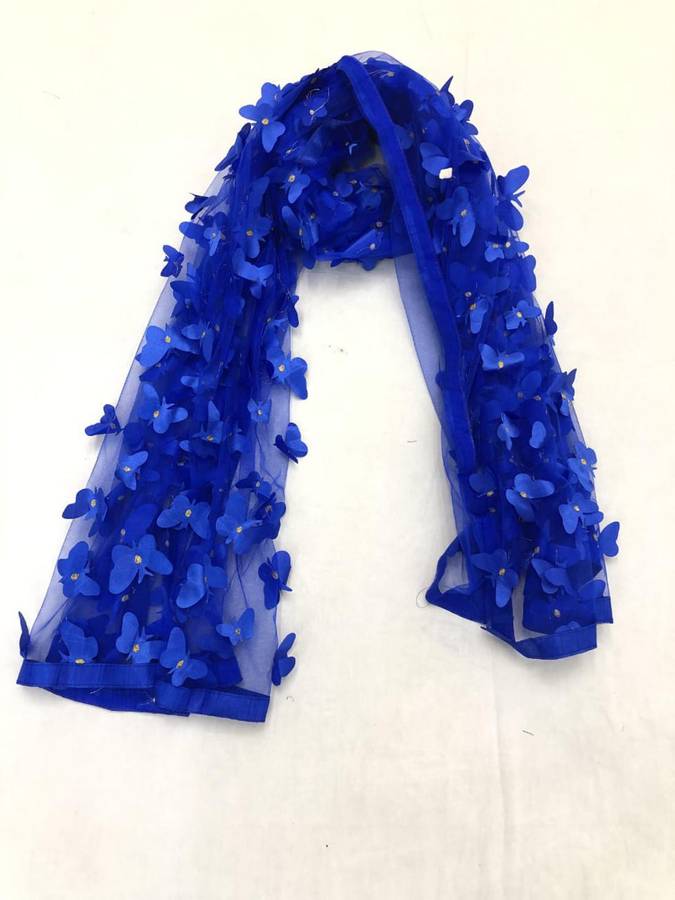 Net Embroidered Blue Women Dupatta