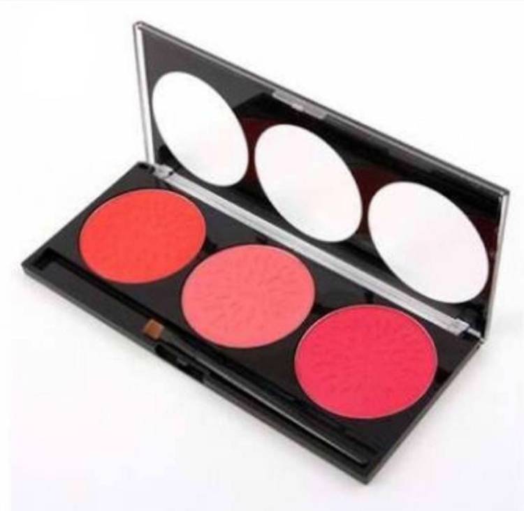 MISS ROSE Nature Blusher - 01 Price in India