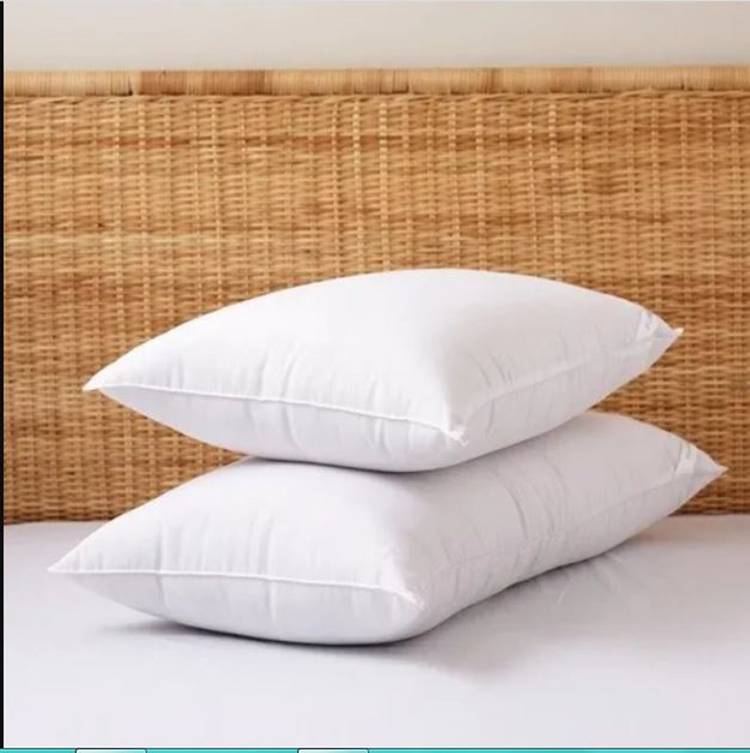 AVI Microfibre Solid Body Pillow Pack of 2