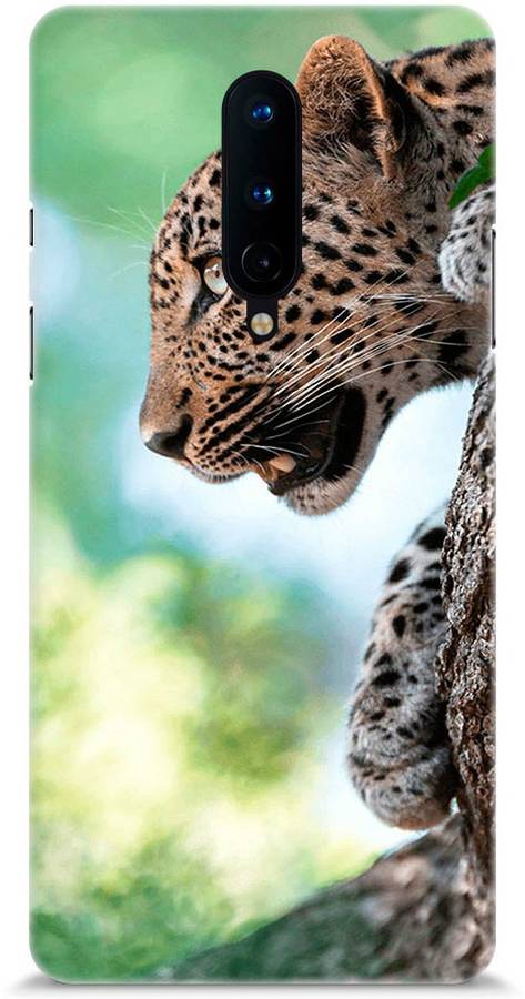 Coffer Back Cover for OnePlus 8 (Leopard)