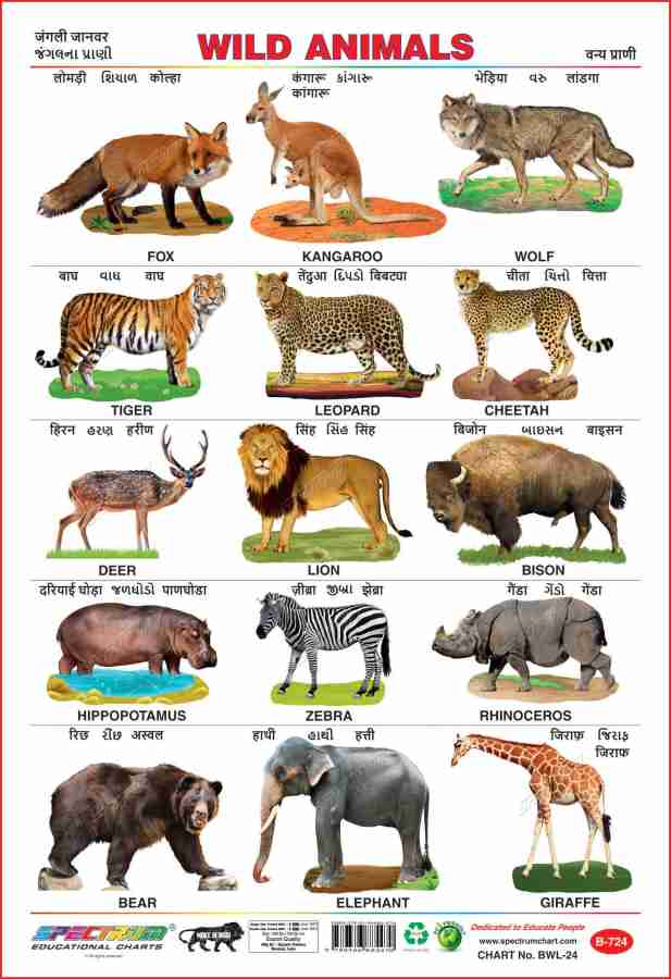 Spectrum Set Of 5 Educational Large Wall Charts : ( Wild Animals 