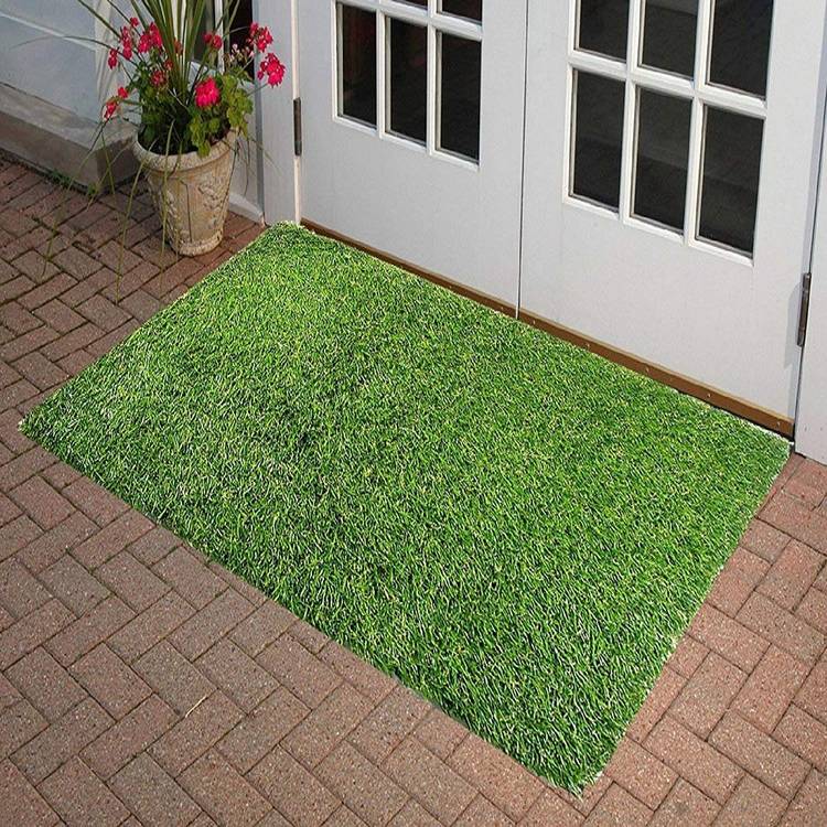 Souxe PP (Polypropylene) Door Mat