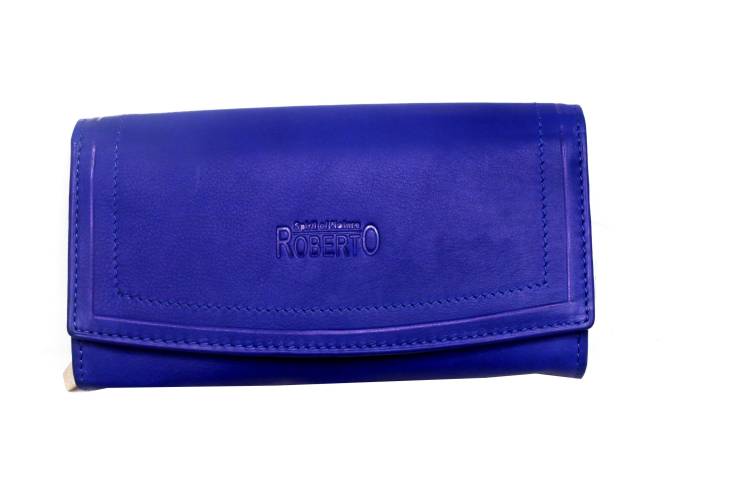 Casual Blue  Clutch  - Regular Size Price in India