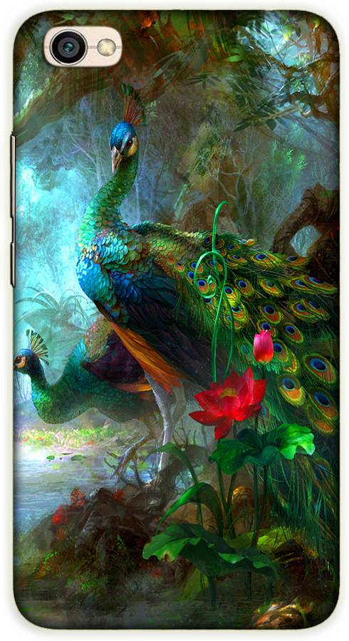 jhatka Back Cover for Mi Redmi Y1 Lite peacock Back Cover