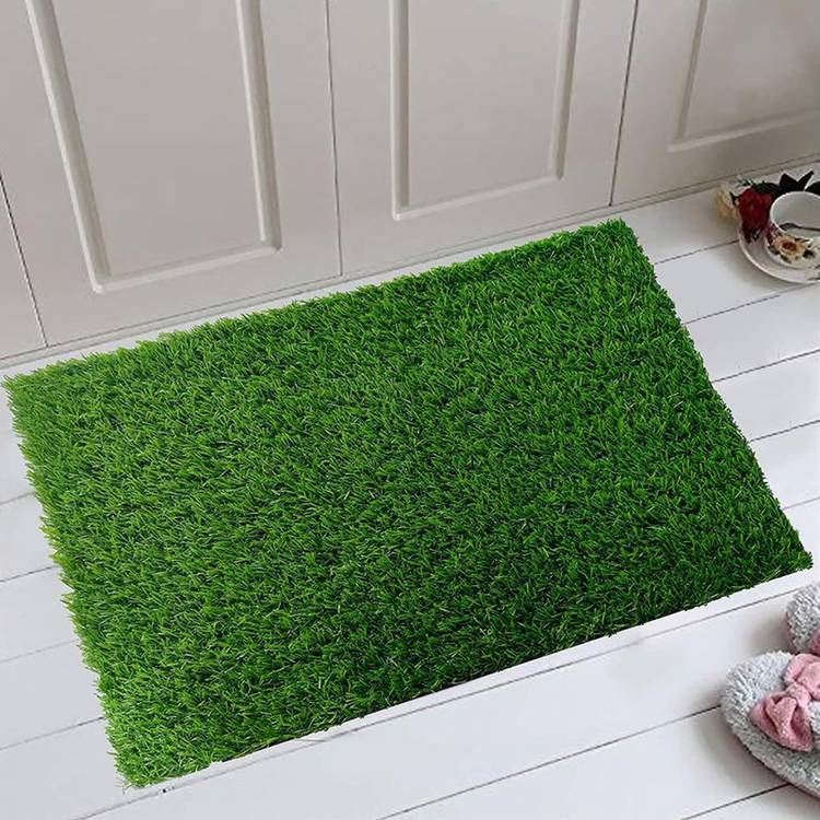 Dream Product Studio Plastic Door Mat