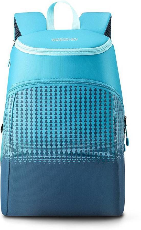 Small 20 L Backpack ACE DAYPACK 02 - BLUE