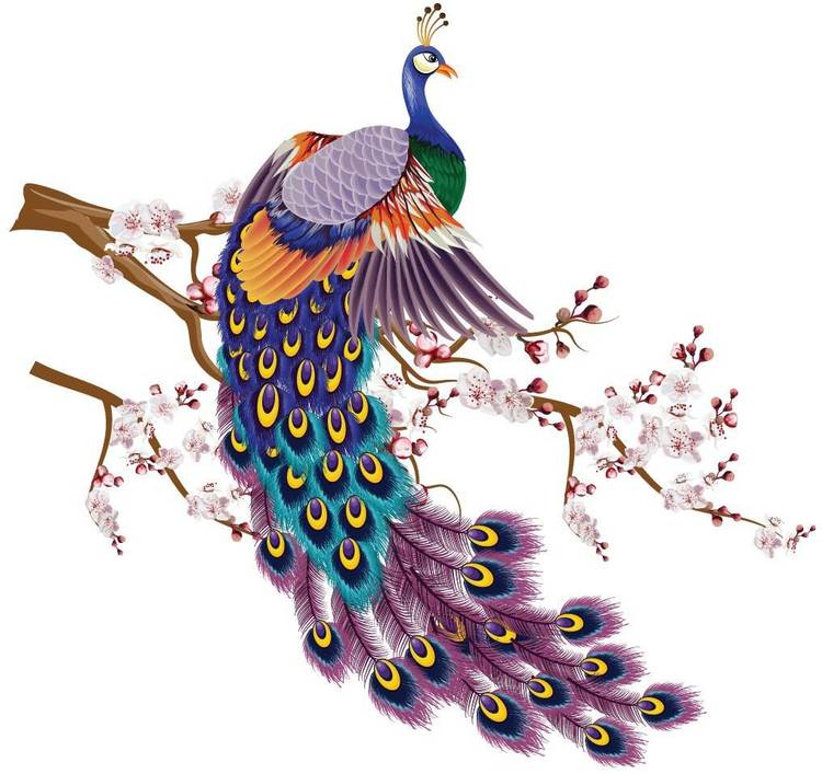 ASIAN PAINTS Extra Large Wall-Ons 'Vibrant Peacock' Decal, DIY Removable Peel and Stick Wall Sticker