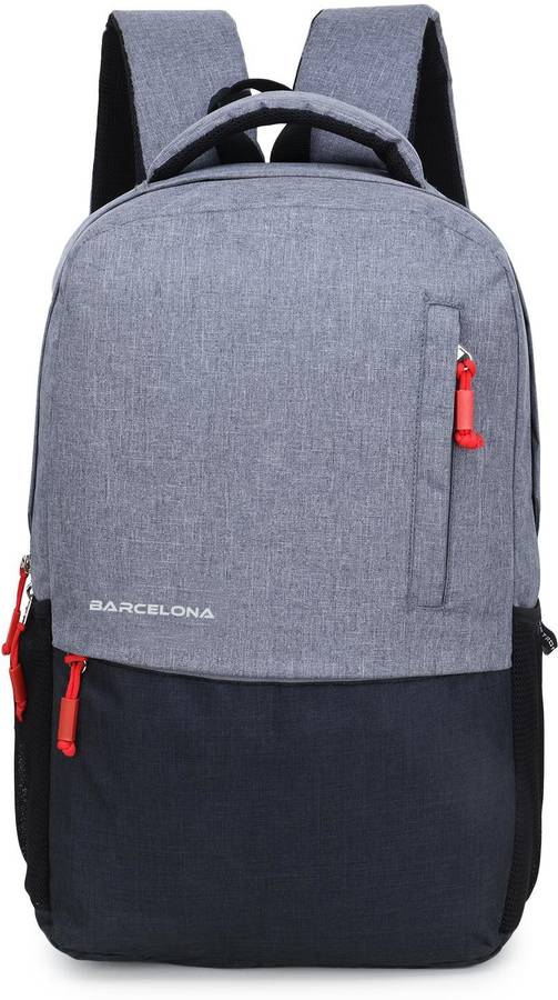 Small 19 L Laptop Backpack Stylish Unisex Backpack