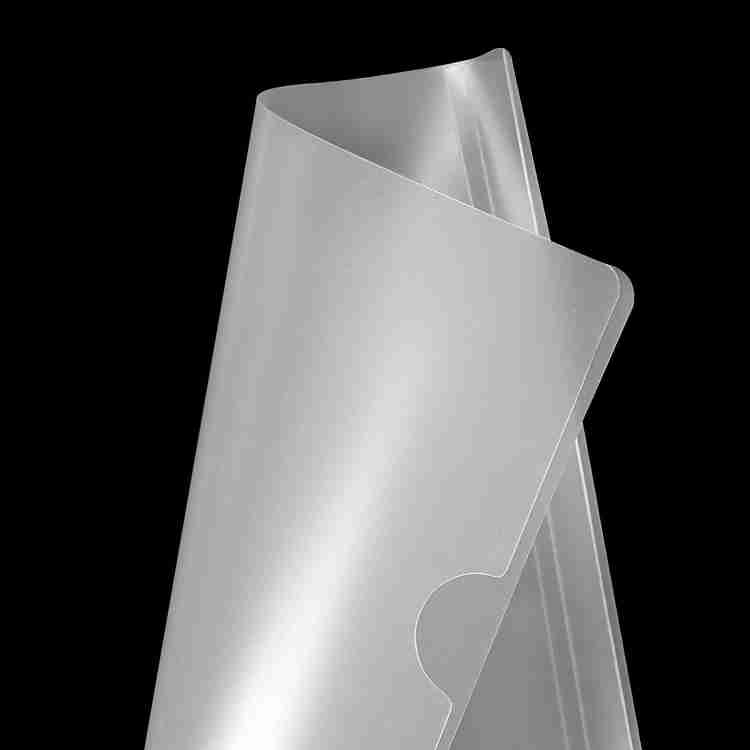 Shopsy.in Riti PVC Sliding Plastic Bar File Folder/ Stick File/ Strip