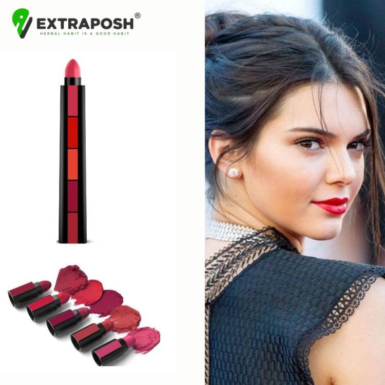 Extraposh 5 in 1 Matte Lipstick Pen Long Lasting Makeup Tools for Girls and Women Price in India